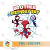 Brother of the Birthday Boy Spidey