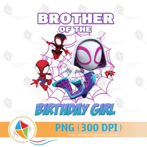 Brother of the Birthday Girl Spidey