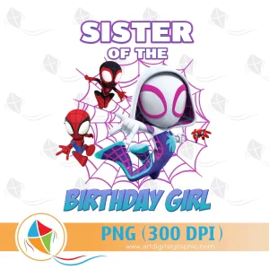 Sister of the Birthday Girl Spidey