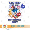 Sister of the Birthday Boy Sonic