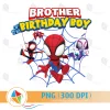 Brother of the Birthday Boy Spidey