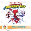 Mommy of the Birthday Boy Spidey