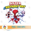 Sister of the Birthday Boy Spidey
