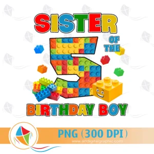 Sister of the Birthday Boy Lego